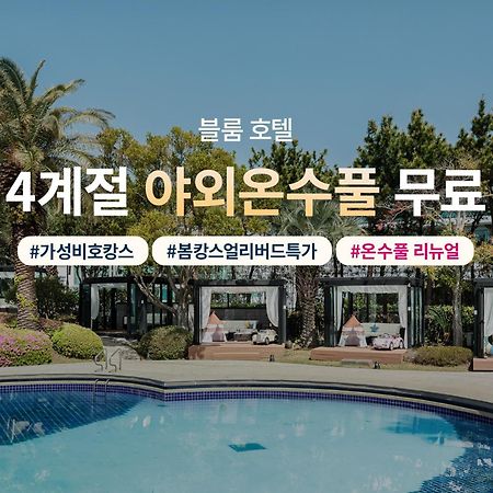 블룸호텔 제주 외부 사진